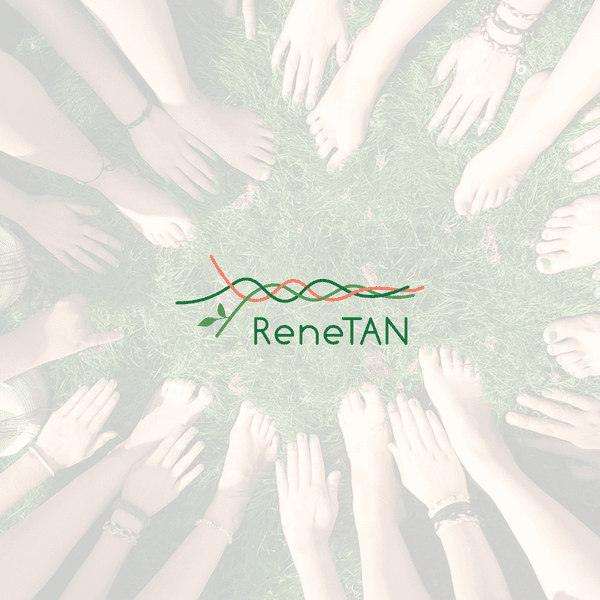 Tvorba webových stránek pro ReneTAN